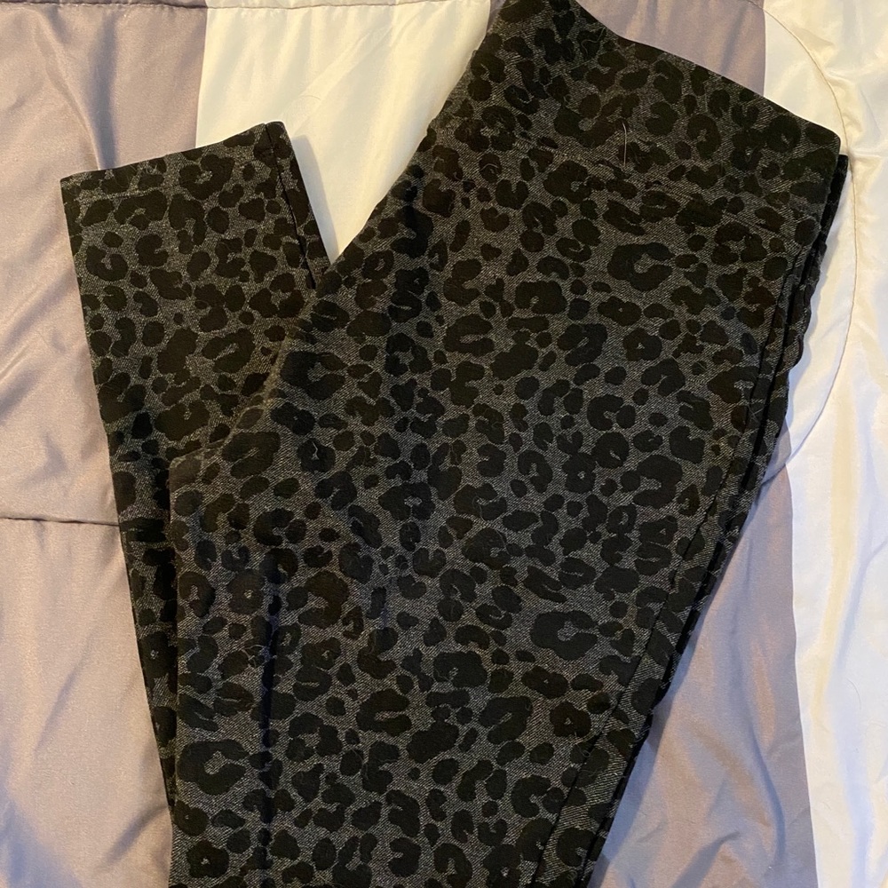 LOFT Ponte Leggings